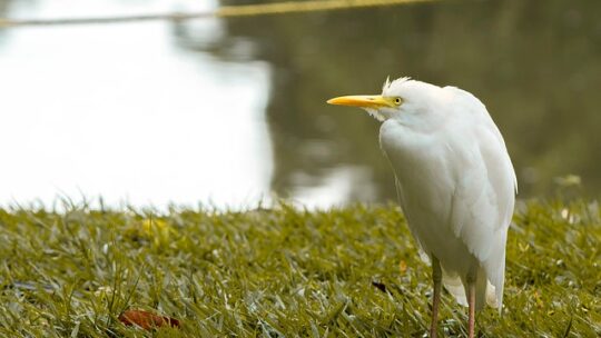 Bæredygtige alternativer til black friday-shopping
