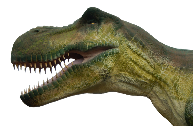 Fra T-Rex til Triceratops: Find din favorit Dinosaur Bluse